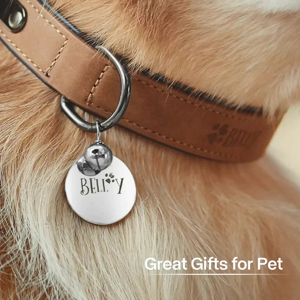 Engraved round pet tag example