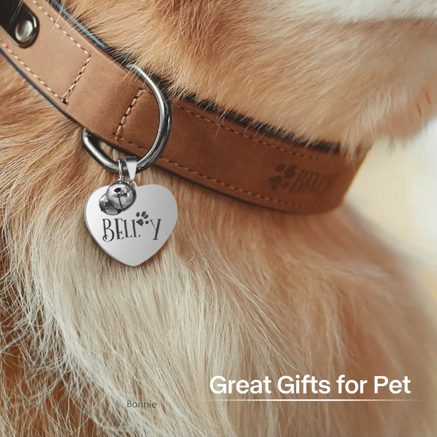 Heart pet tag on collar