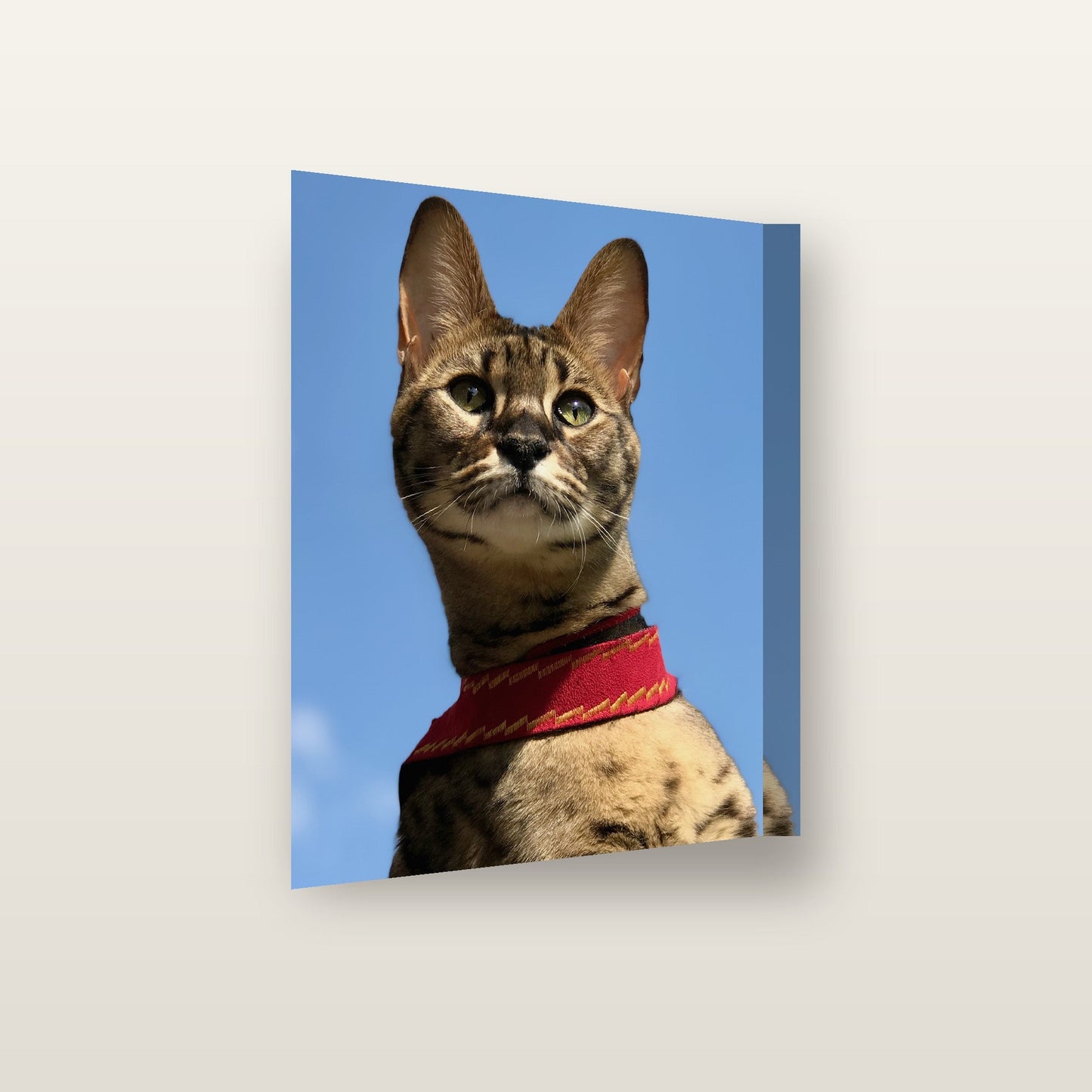 Matte print on canvas frame, angled view showing the wrapped edge