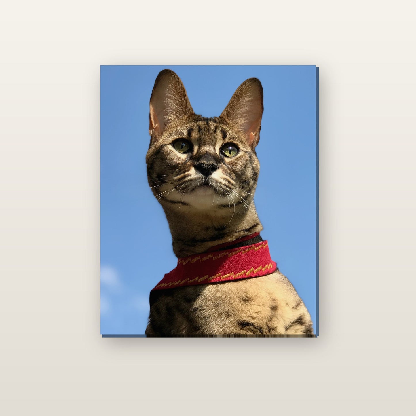 Cat portrait printed on matte paper, mounted on a canvas frame